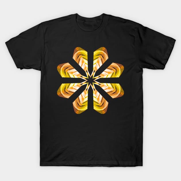 Golden Star T-Shirt by Meo Design